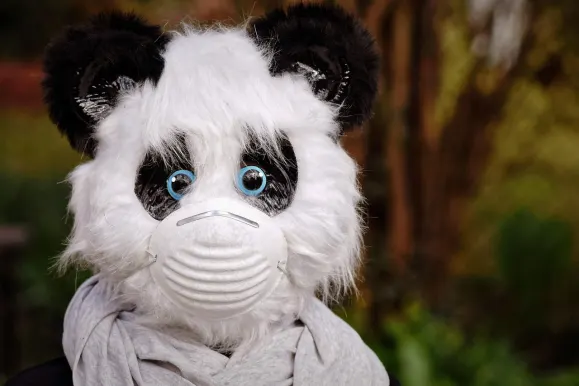 ビットコザ カジノ サポート